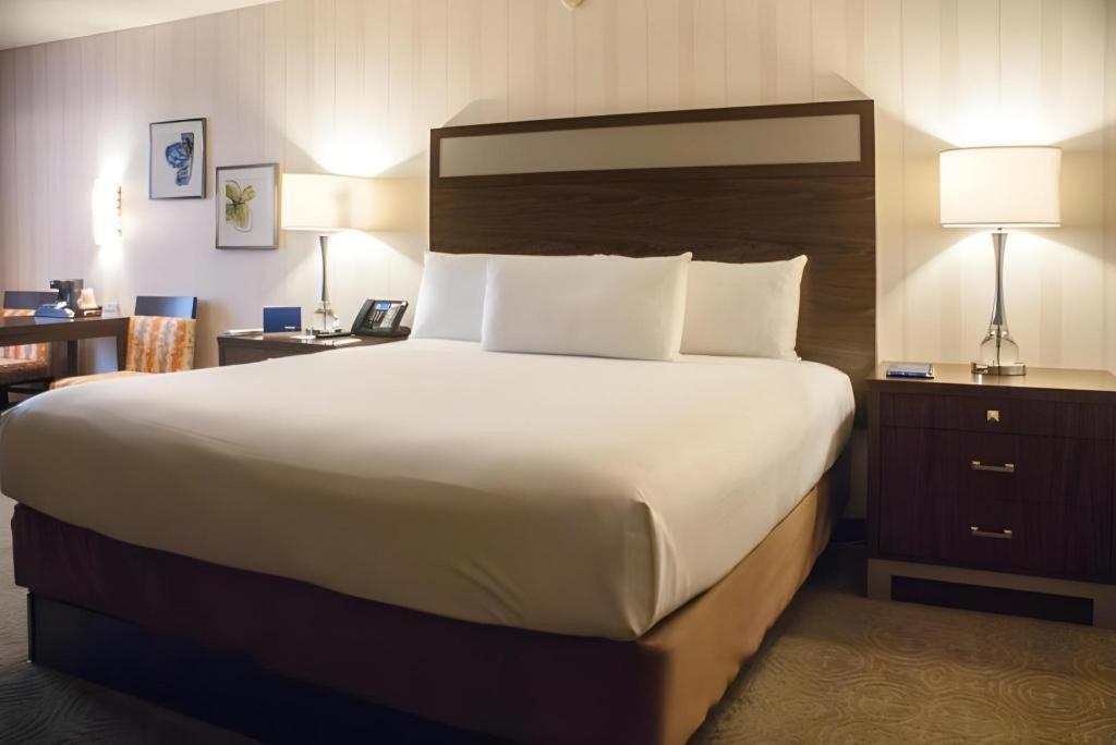 Gold Coast Y Casino 3*