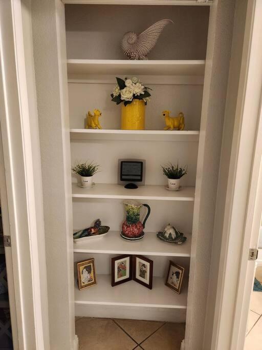 Super Apartamento *