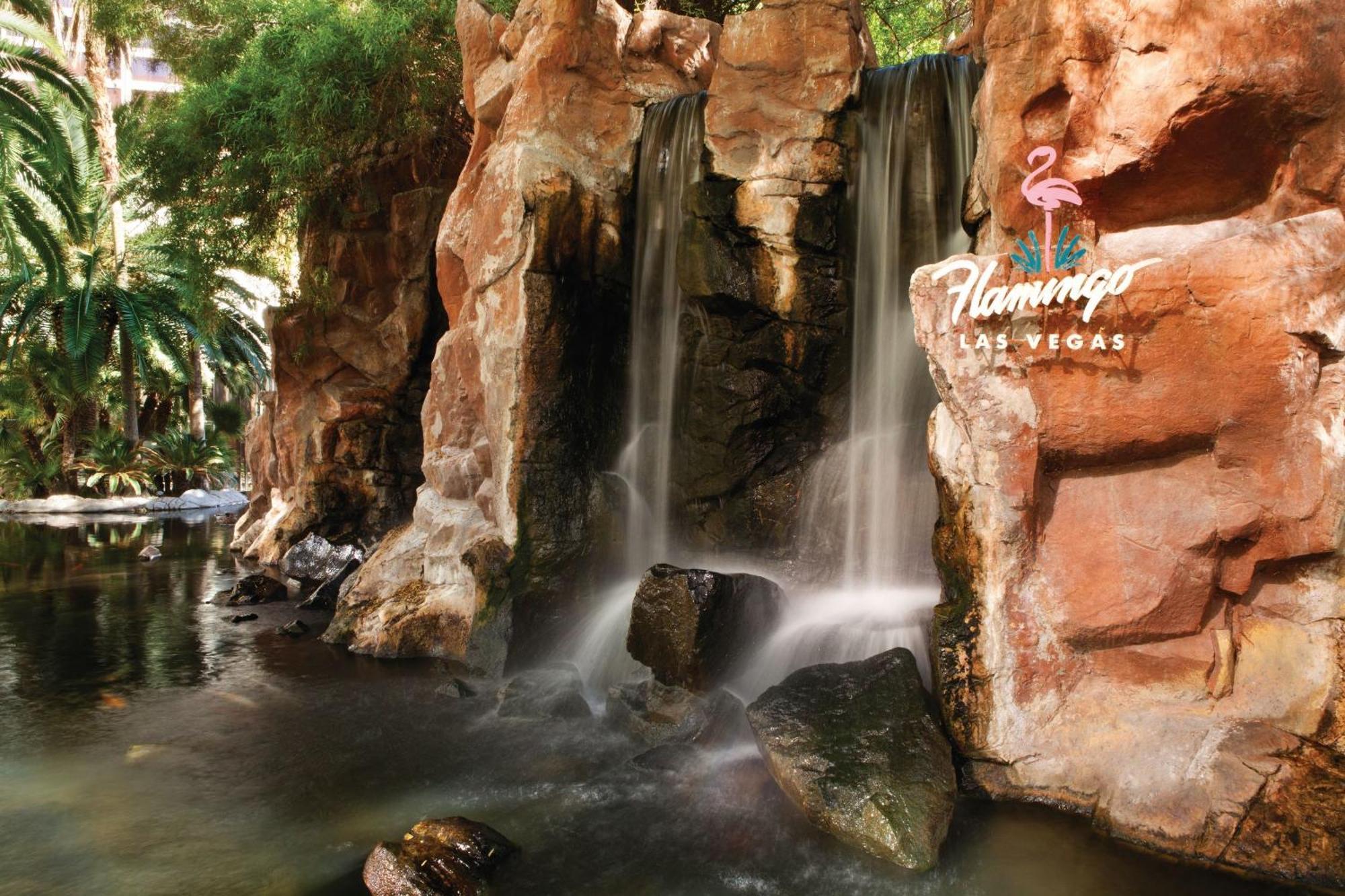 Resort Flamingo Vegas Hotel&casino Las Vegas