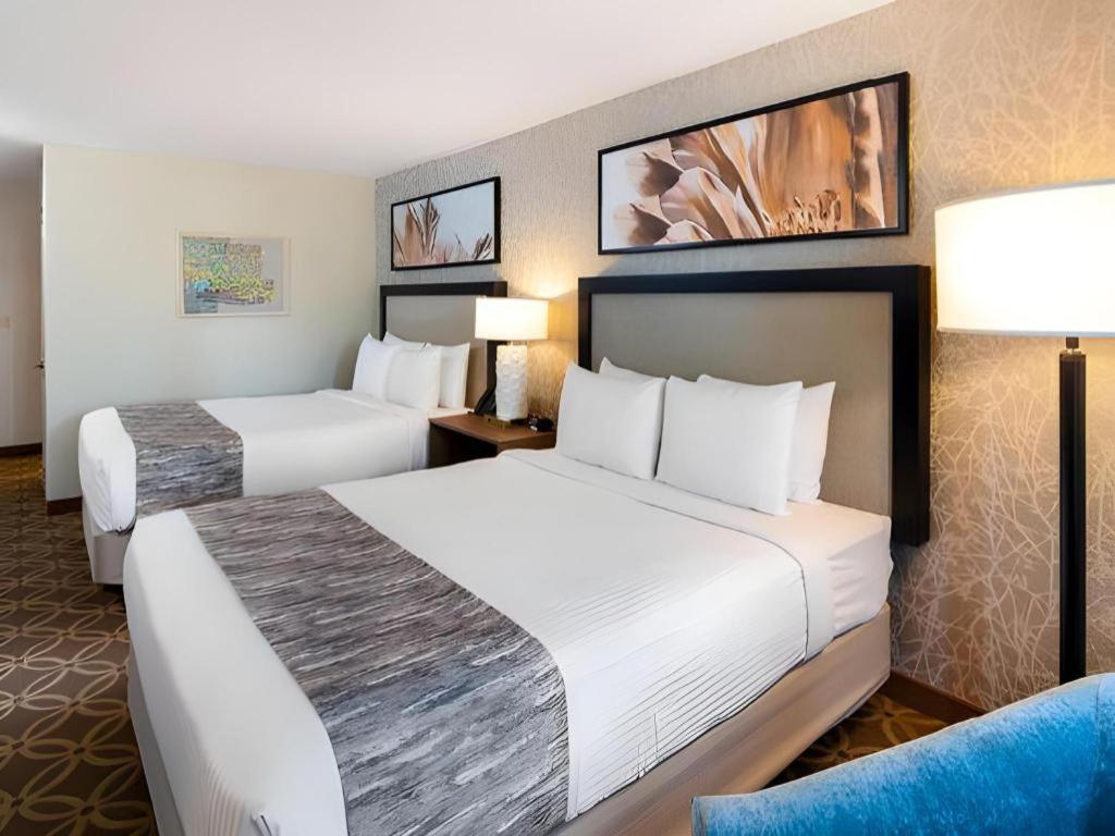 Resort Cannery Casino Y 3*