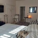 PURRfect Oasis Las Vegas