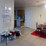 Birdys Nest