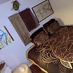 Turtles Spot