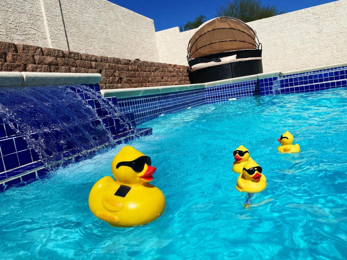 J Luxury Pool And Heat Jaccuzi House Of * Las Vegas