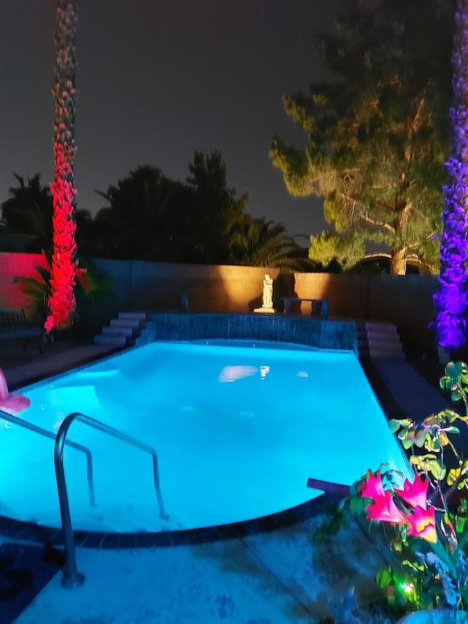 Catmosphere * Las Vegas