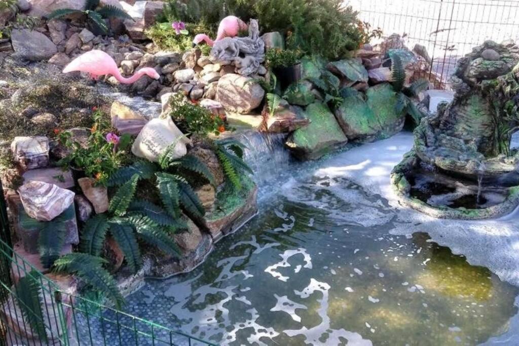 Enjoy Fruits Of Your Labours Staying At 601 Grape Drive Сasa de vacaciones Las Vegas