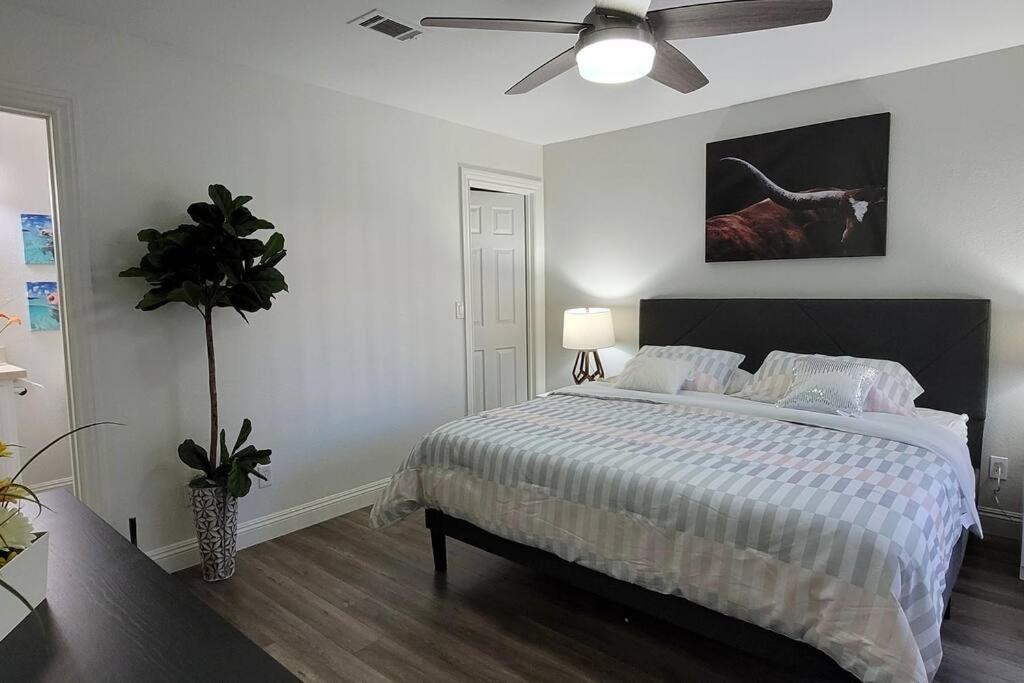L - Fully Remodeled And Professionally Decorated * Las Vegas