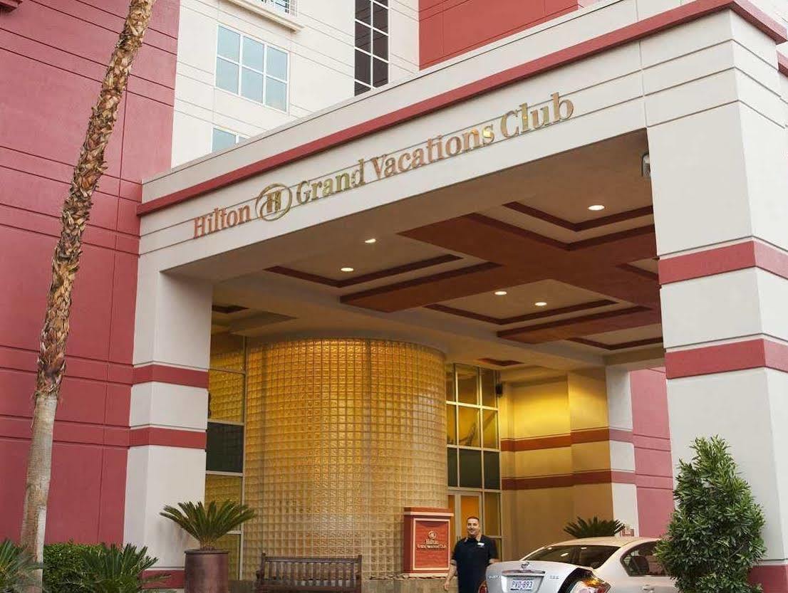 Resort Hilton Grand Vacations Club Flamingo Vegas Las Vegas