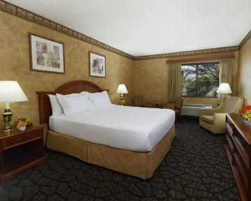 Silver Sevens Y Casino Hotel
