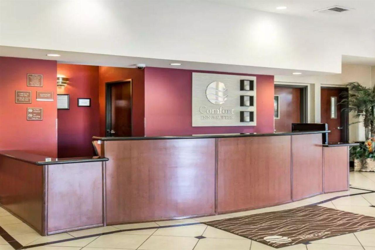 Comfort & Vegas - Nellis Hotel 3*