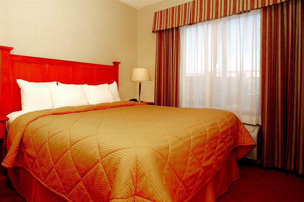 Comfort & Vegas - Nellis