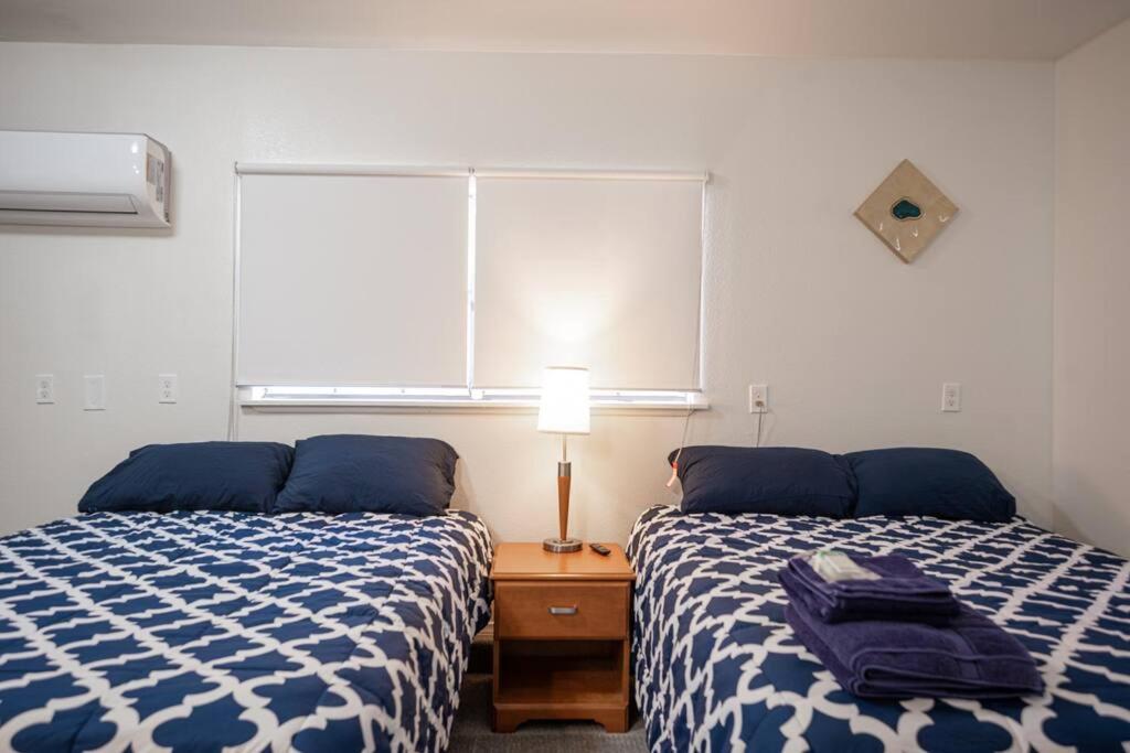 5 Large Studio With Full Kitchen, Laundry And Bath *