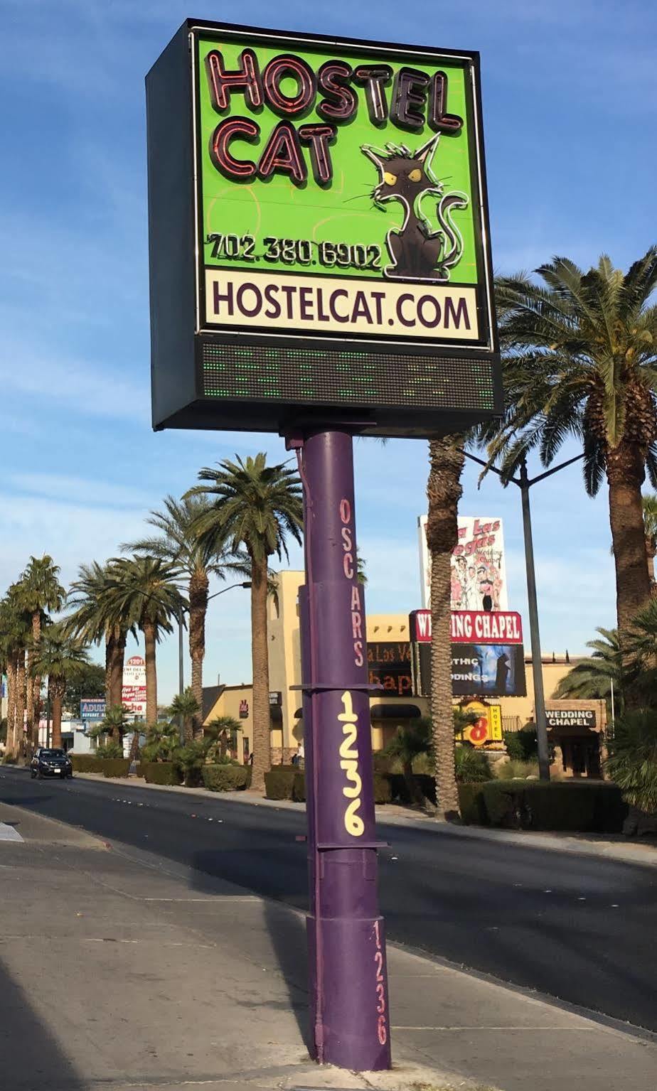 Hostel Cat Las Vegas * Las Vegas